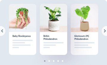 carrusel avanzado de Elementor